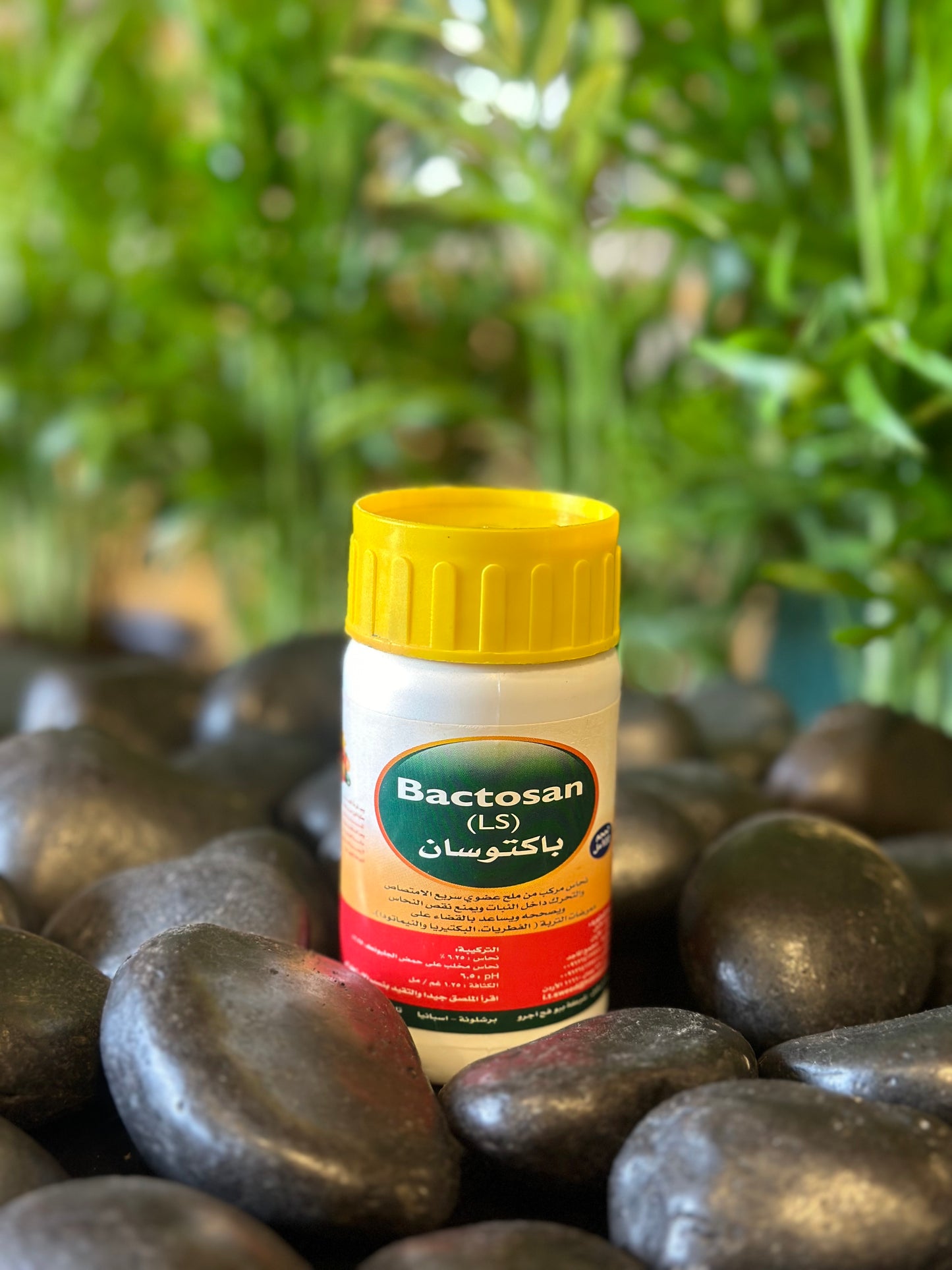 Bactosan 100ML